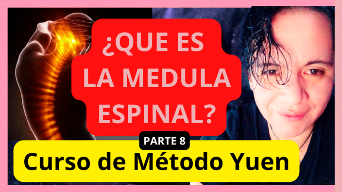 QUE ES LA MEDULA ESPINAL PARA QUE SIRVE